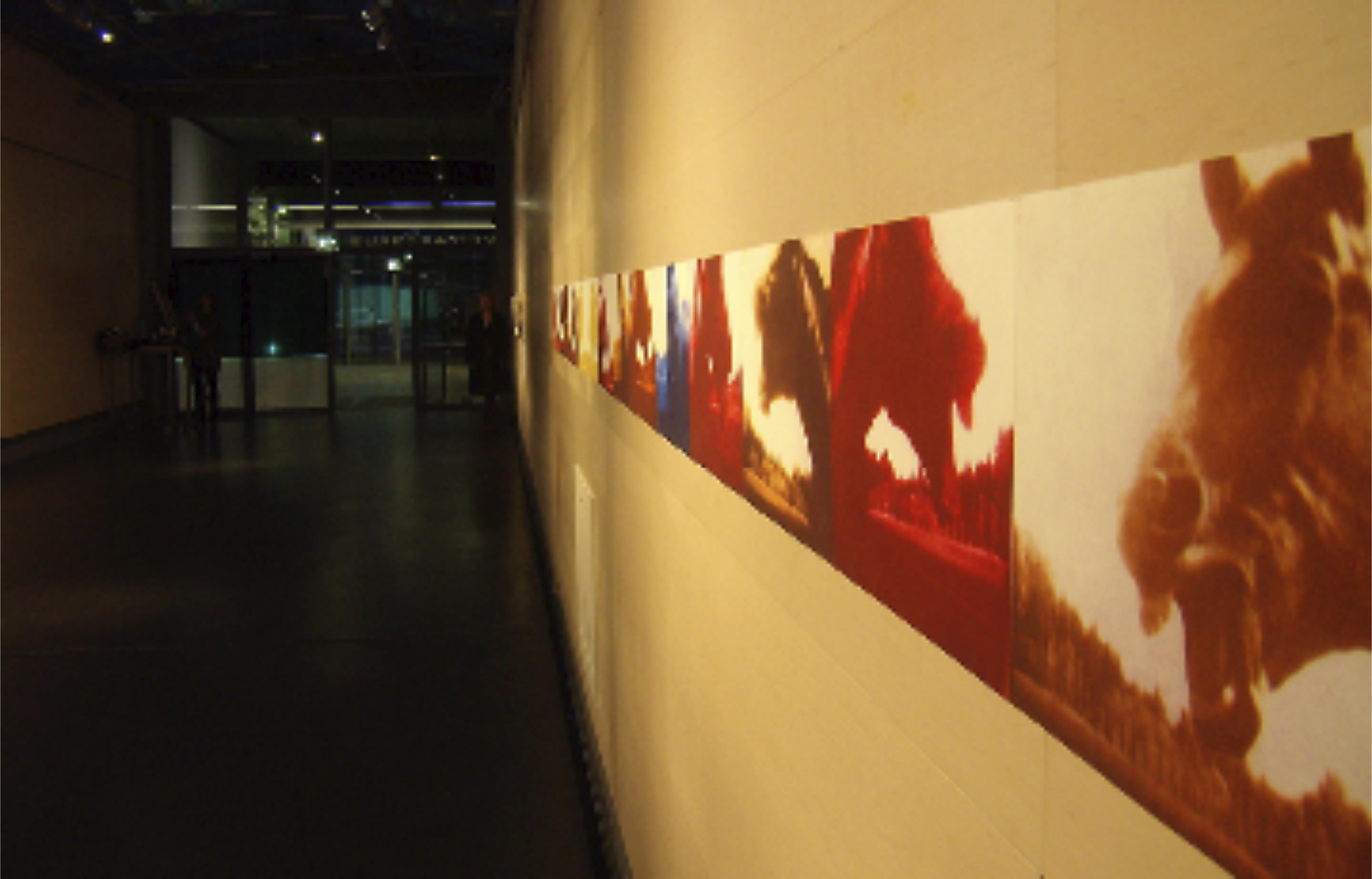 Photograph of horse prints installed in Lume galleria.