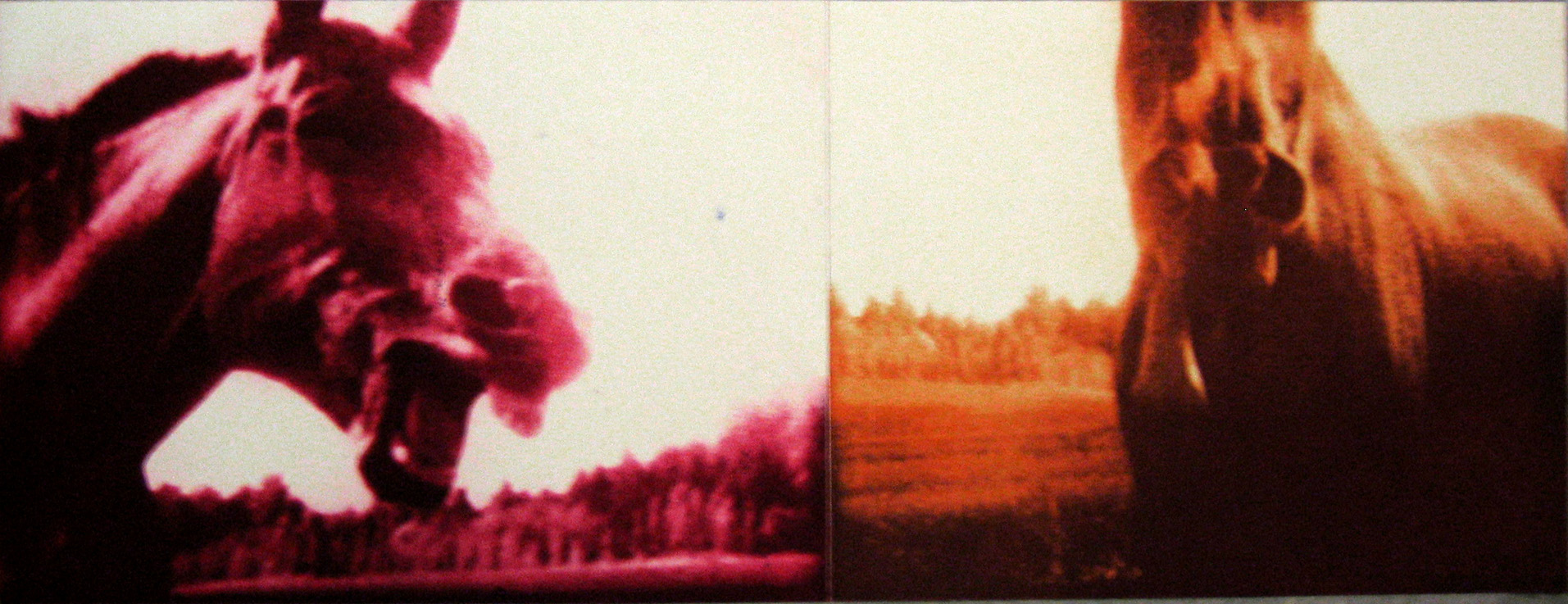 Print of two frames of horses in two colors, facing each other.