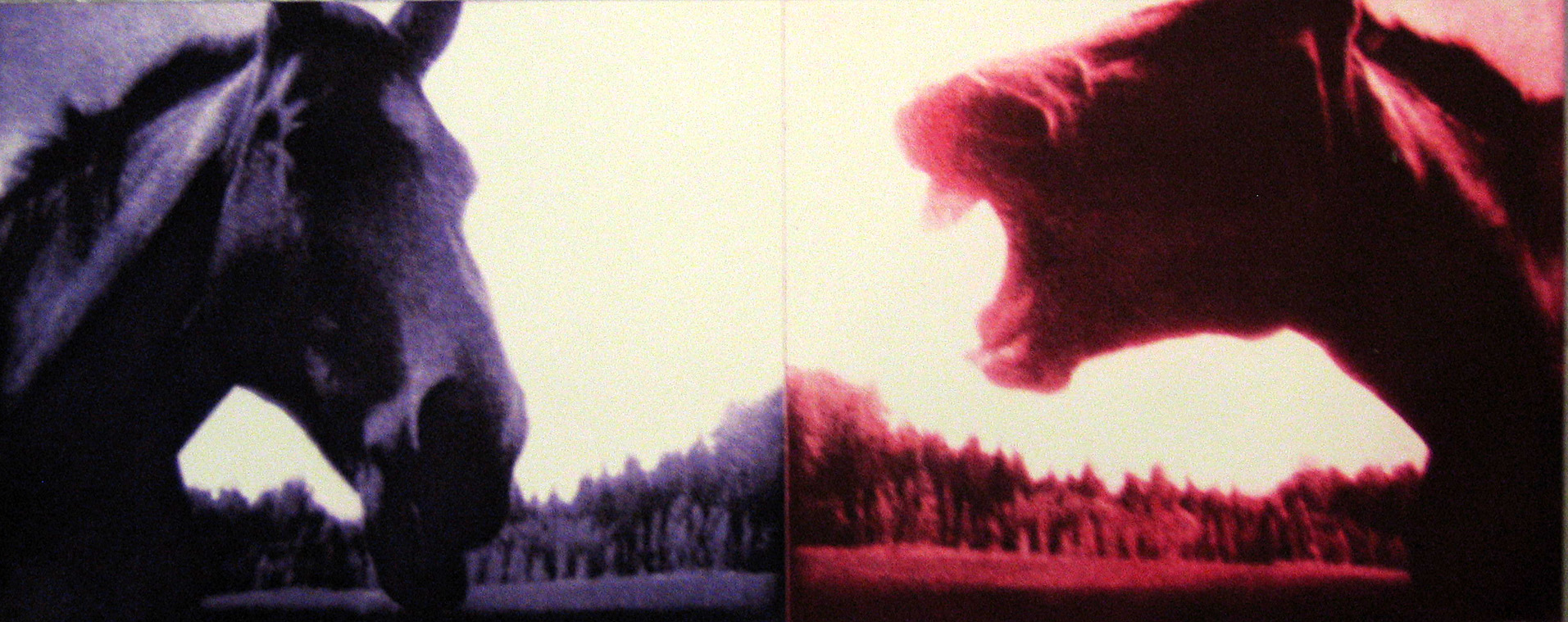 Print of two frames of horses in two colors, facing each other.