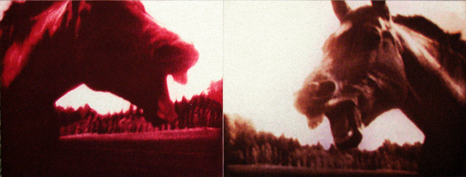 Print of two frames of horses in two colors, facing each other.