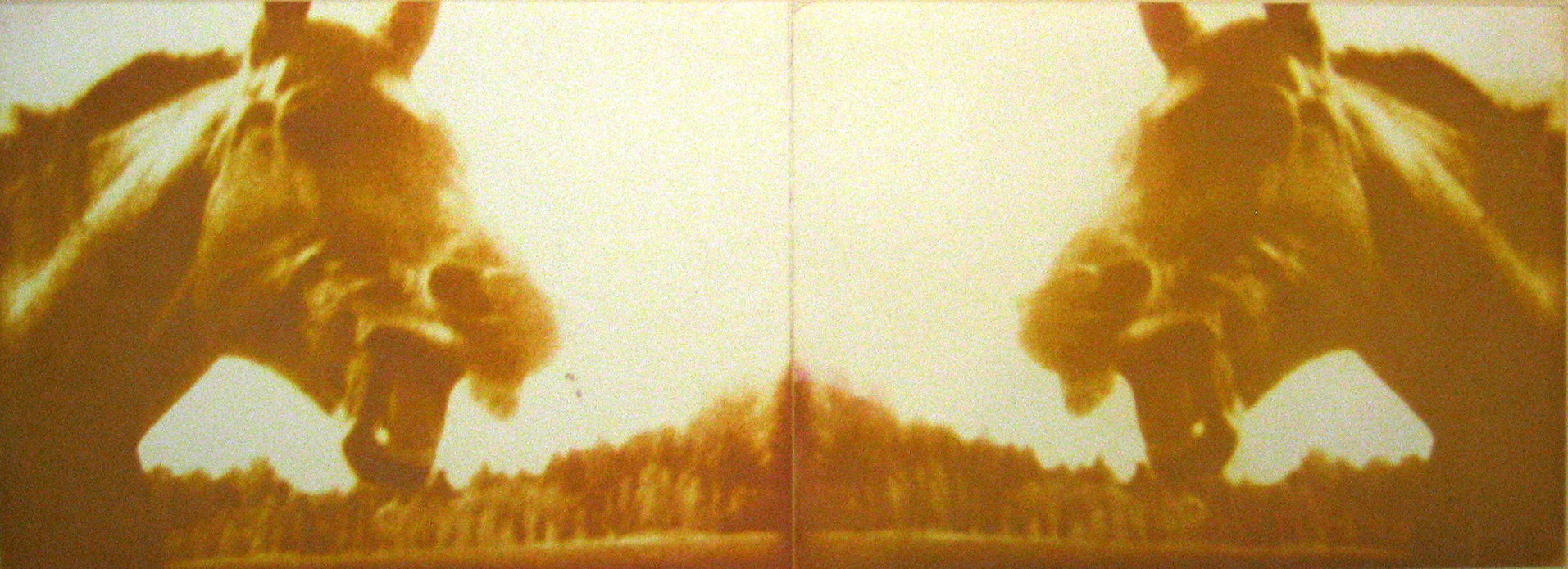 Print of two frames of horses in two colors, facing each other.
